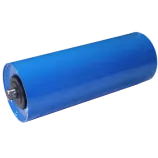 CARRYING ROLLER